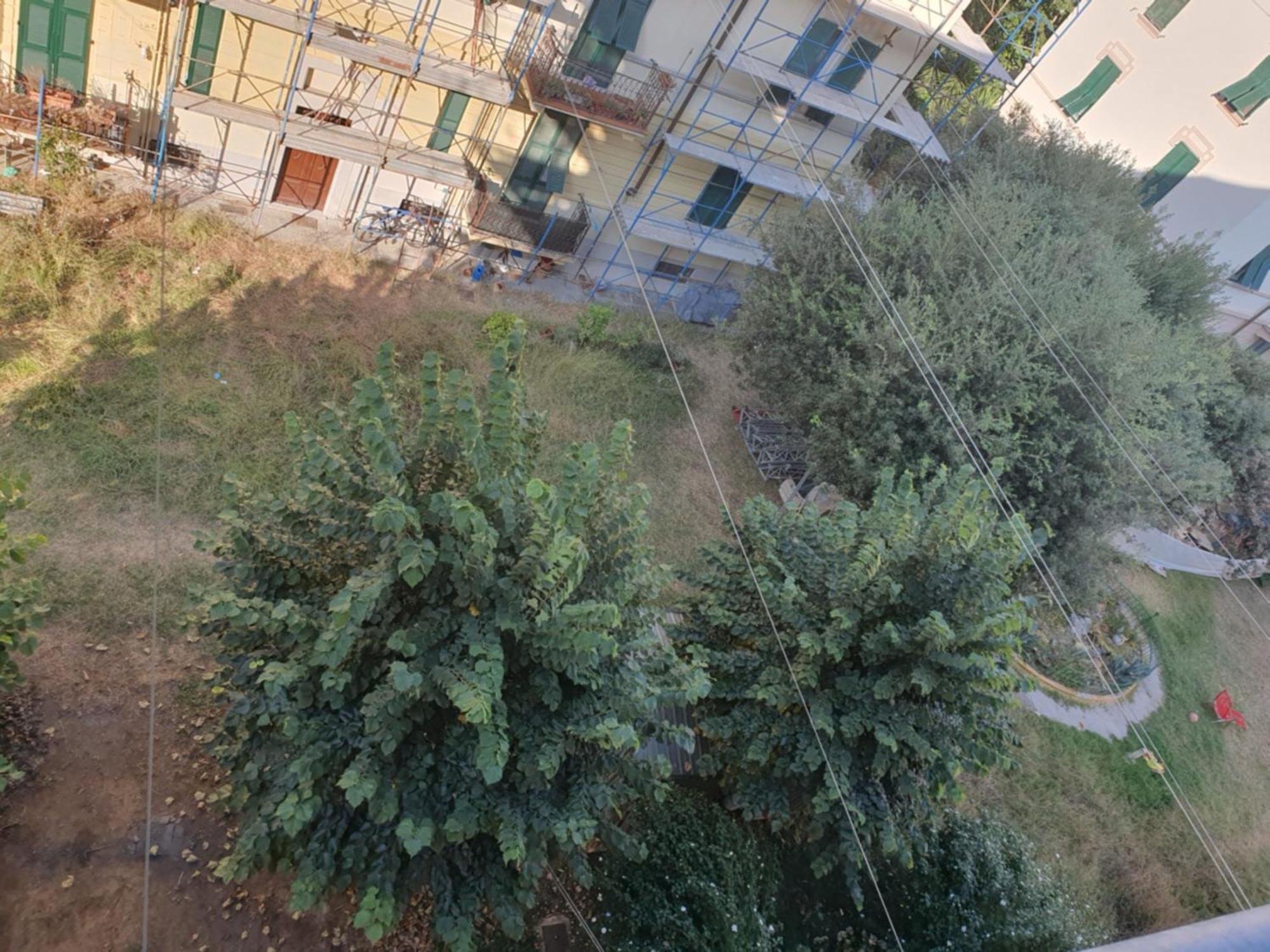 Domi Guest house